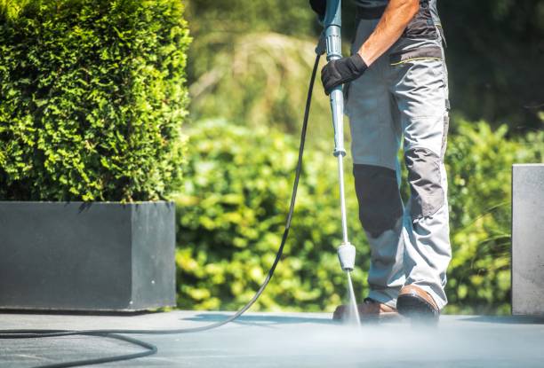 Best Building Exterior Washing  in Stallion Springs, CA
